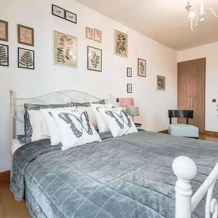Fully Equipped Vitoshka Area Spacious Metro